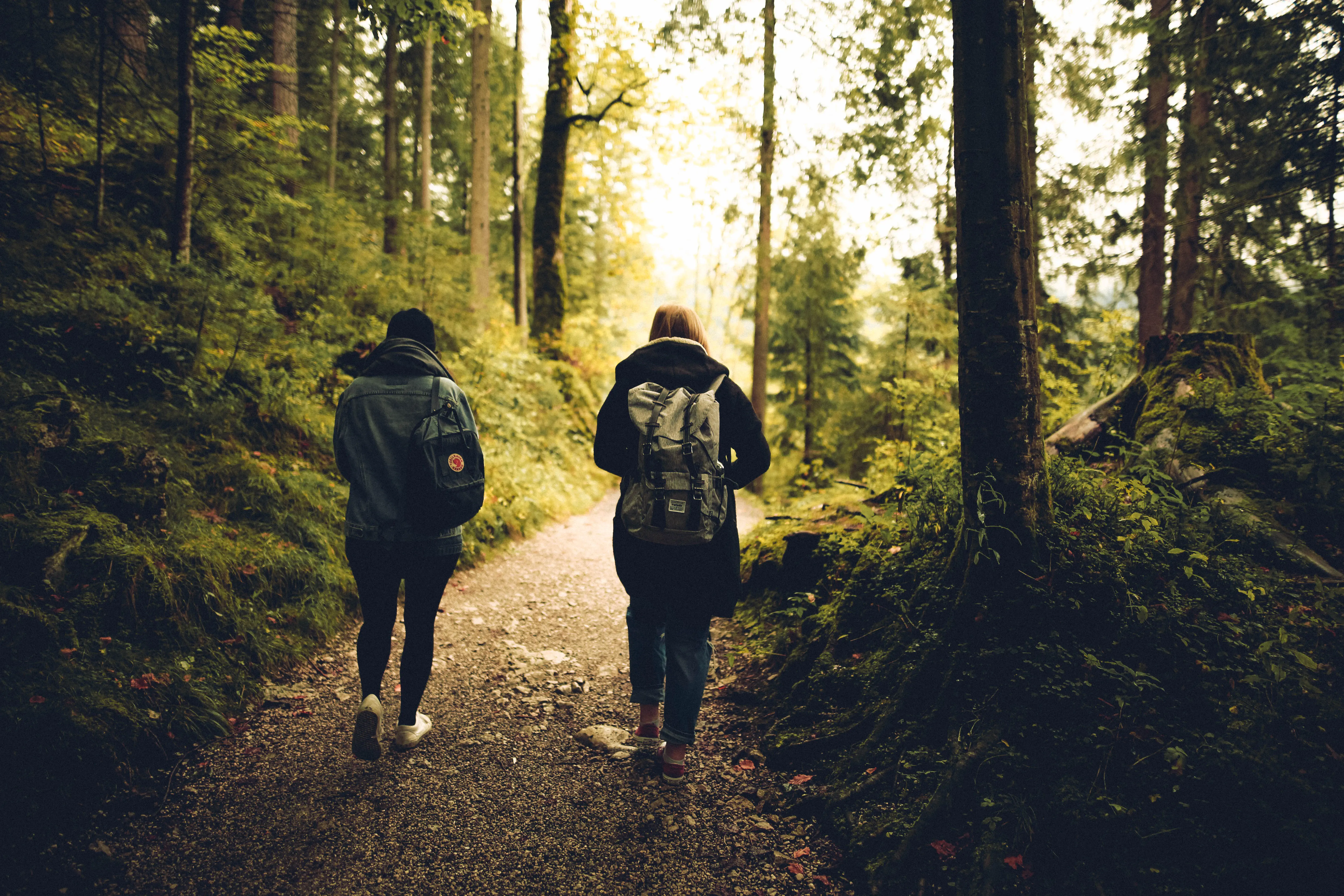 An image of two people walking in a forest