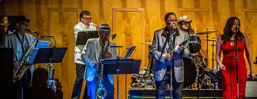 An image of The Soul Cats band